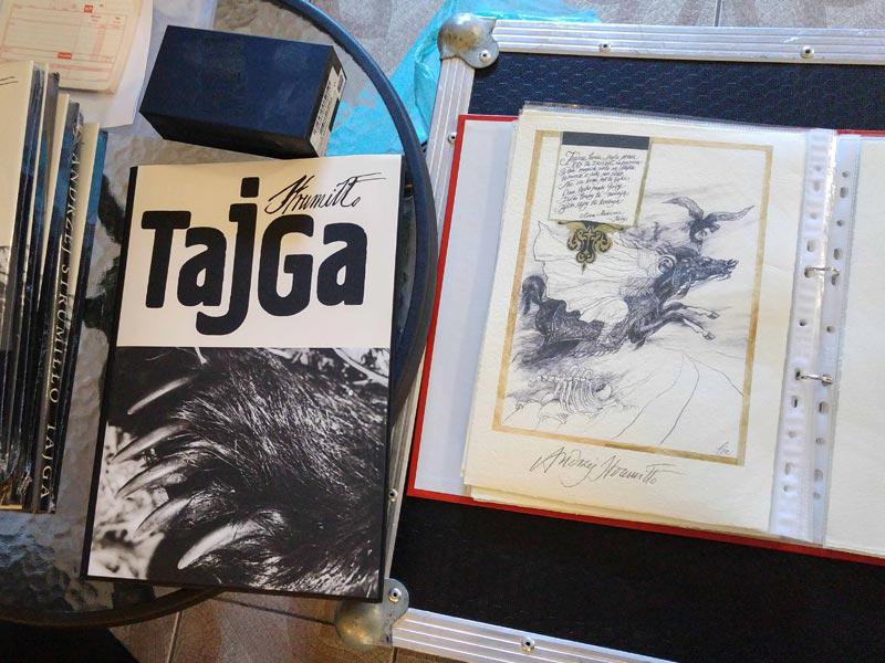 Ilustracja 3: Zdjęcie przedstawia okładkę książki Tajga, rysunki malarza.