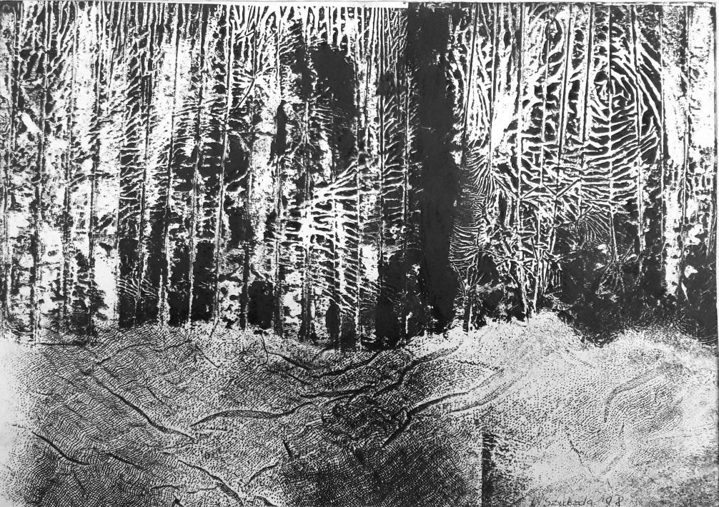 Ilustracja 2: Technika mieszana. Obraz czarno - biały, wyobrażenie brzozowego lasu.